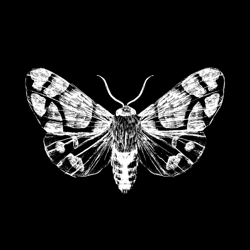 Post Mortem Paranormal